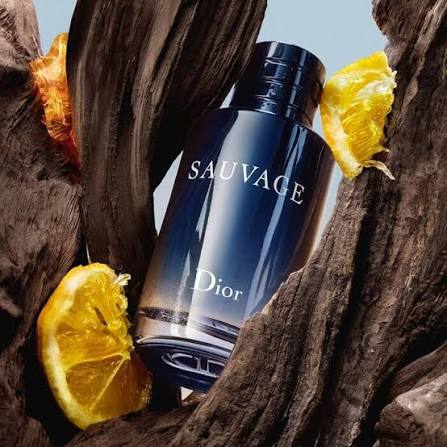 Wild Elite EDP - For Him